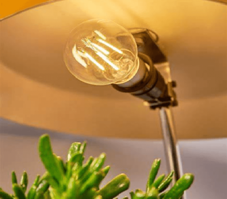 Shelly Vintage Smart Bulb