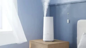 Govee Smart Humidifier